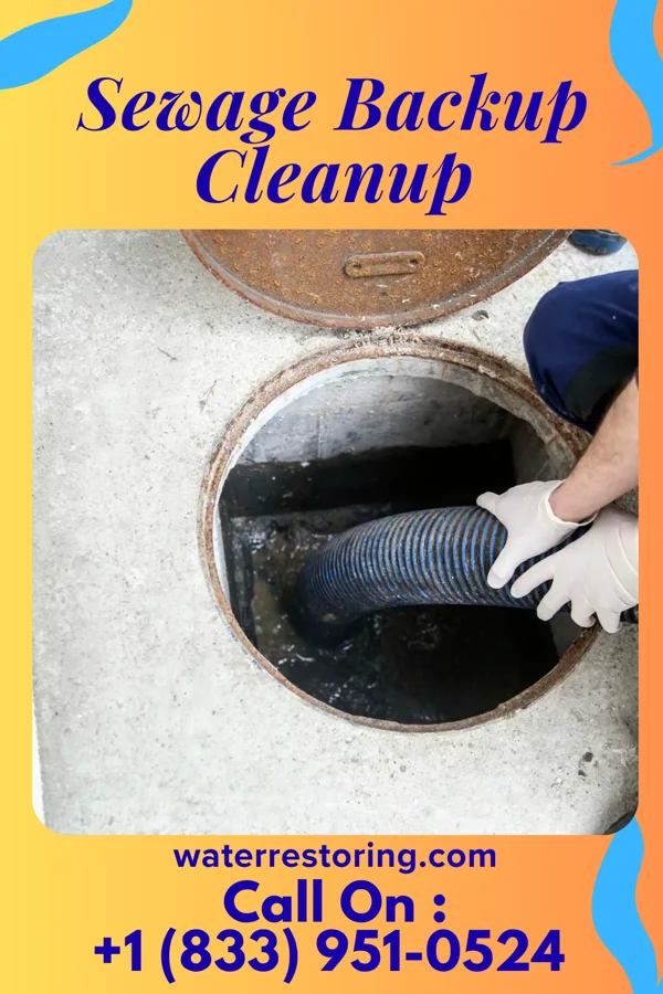 Sewage Backup Cleanup in Bradford, AR